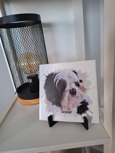 Customer photo review of Tegel met Gepersonaliseerd Huisdier Portret in Aquarelstijl