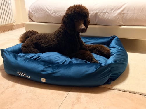 Customer photo review of Cover Divanetto Velluto Ottanio