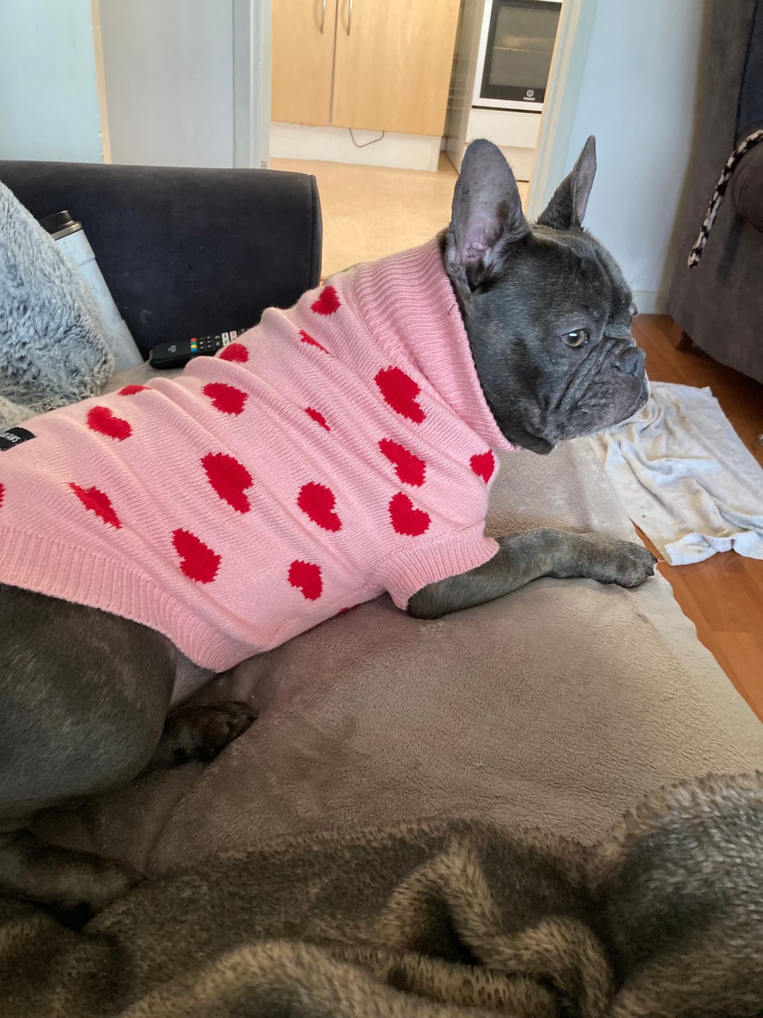 Customer photo review of Hearts Knit Dog Sweater