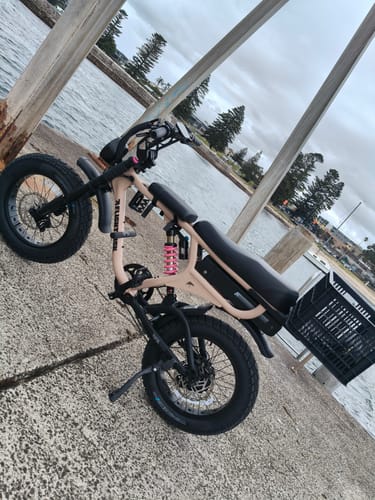 Customer photo review of FR555 - Champagne