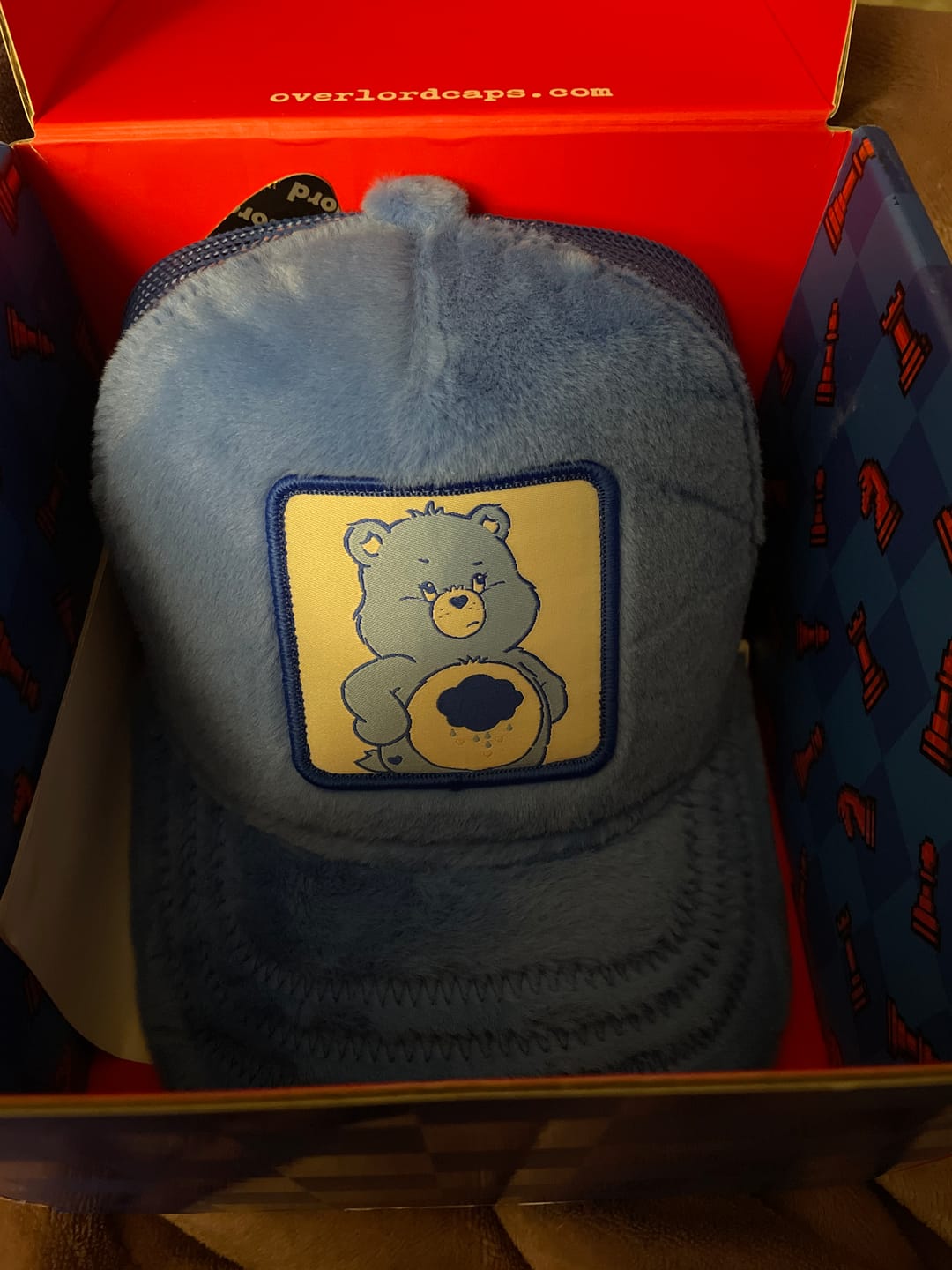 Customer photo review of OVERLORD X Care Bears:  Grumpy Bear Trucker Cap