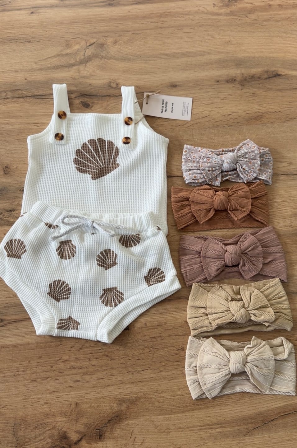Customer photo review of Seashell Set