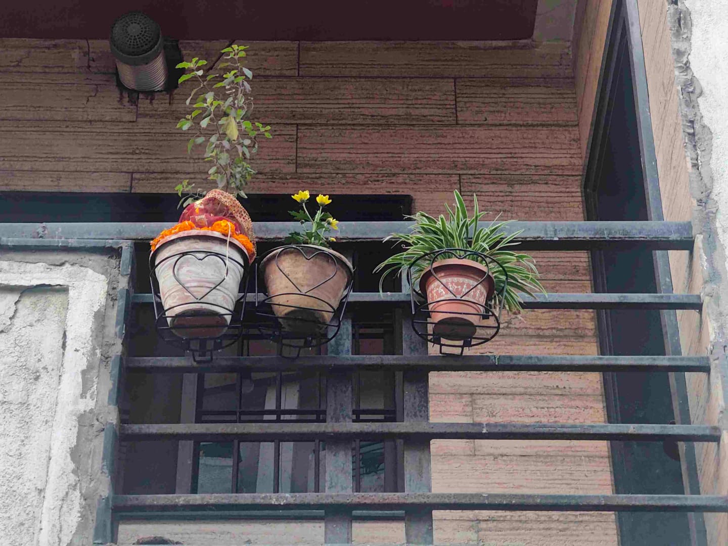 Customer photo review of UnitedCrafts Heart Railings Stands for Balcony & Home Decoration