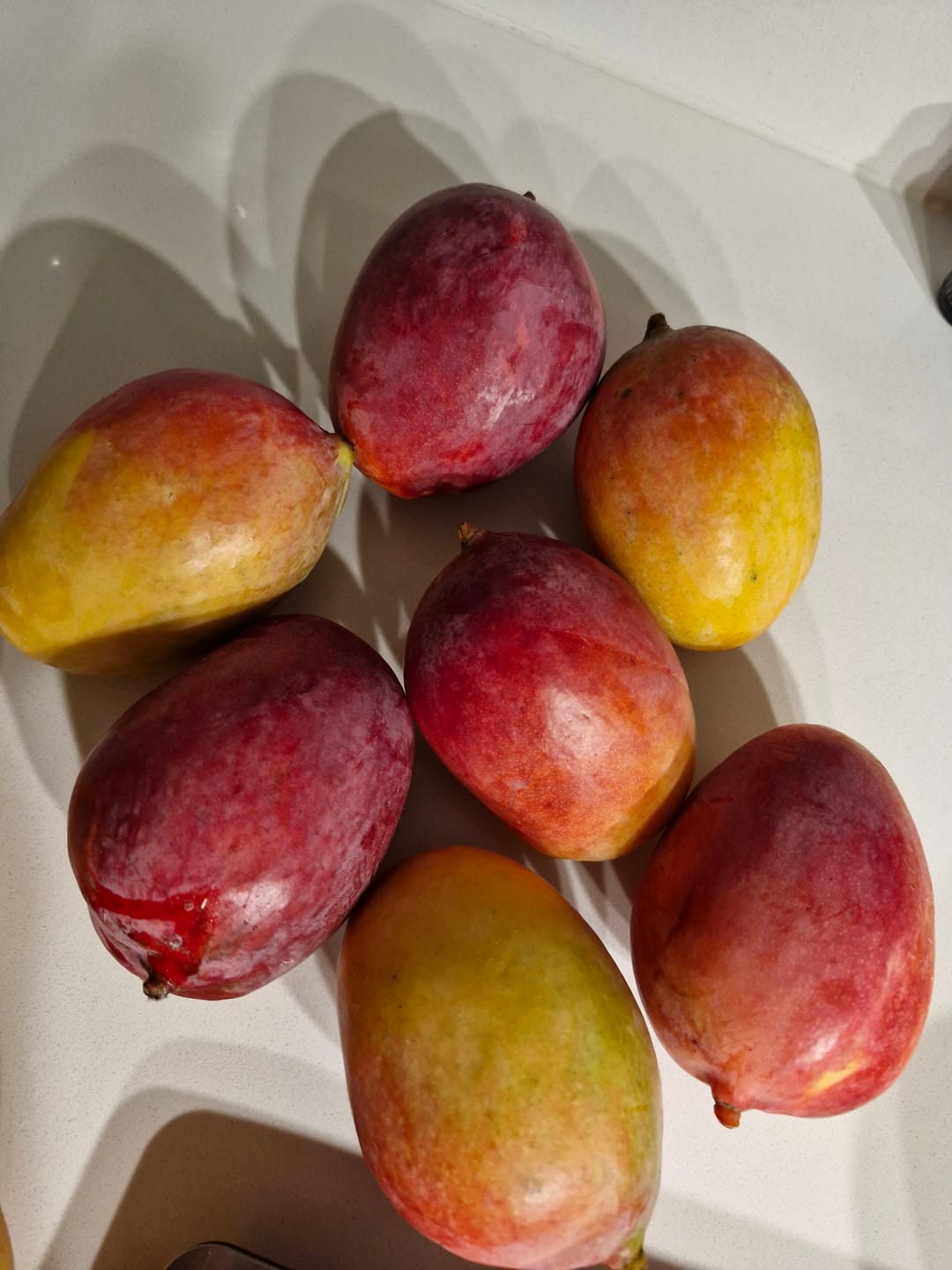 Customer photo review of Mango Sensacion Bio Spätsorte von Paco Sonderpreis %