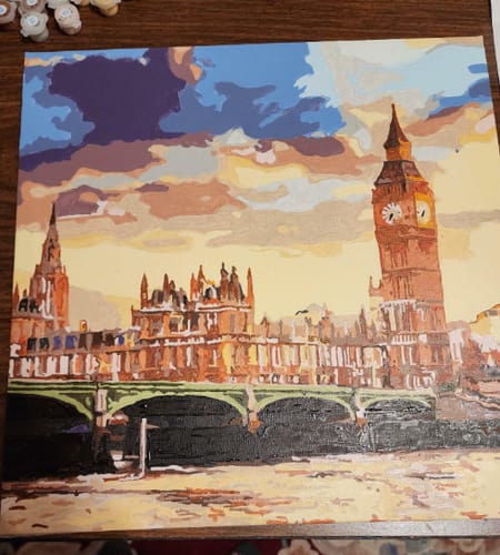 Customer photo review of Custom Landscape Paint By Numbers