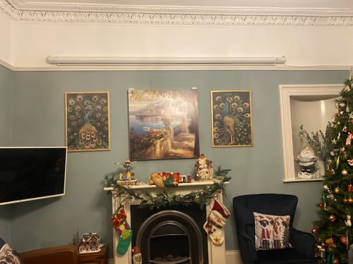 Customer photo review of Luxe Peacock Set of 2 Prints