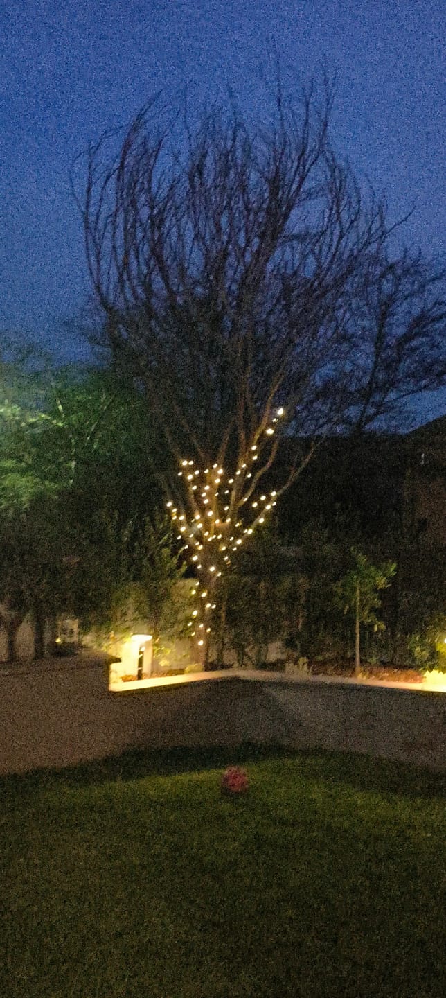 Customer photo review of Black String Solar Fairy Lights