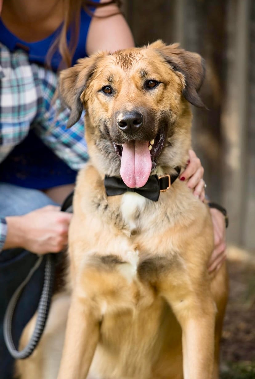 Customer photo review of Freeze Dried Salmon 100g / 3.5oz