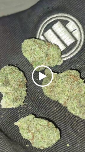 Customer video review of BANANA RUNTZ THCA FLOWER
