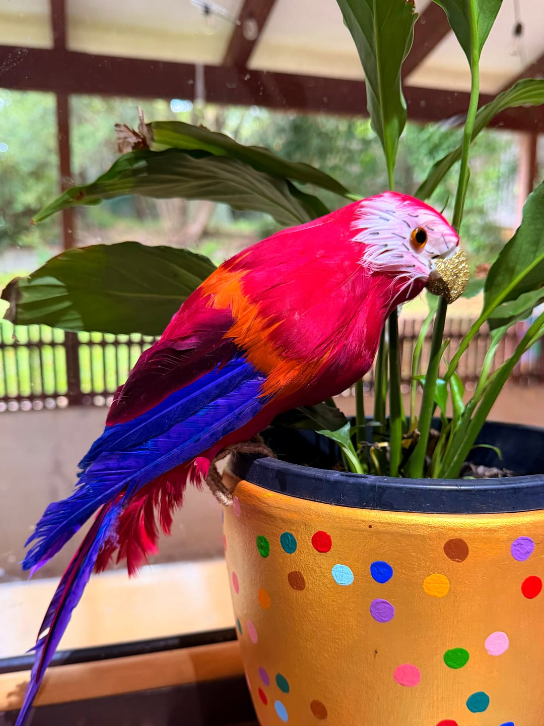 Customer photo review of Arnou Fuchsia Parrot