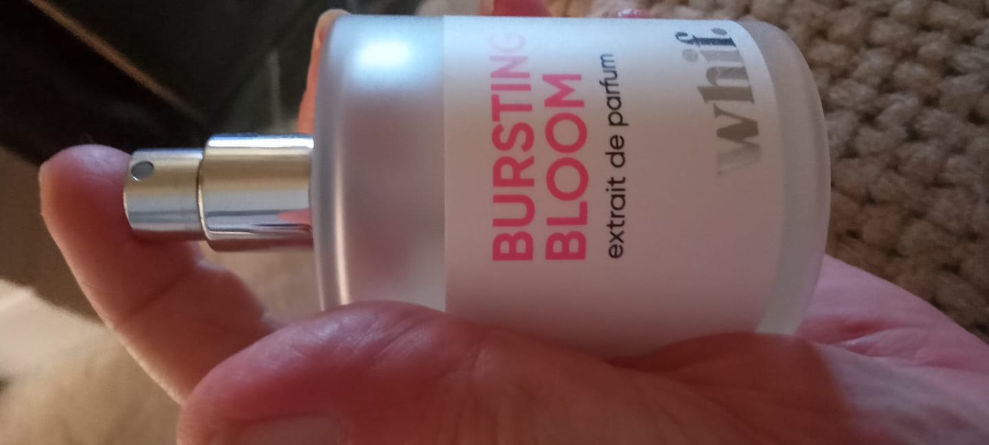Customer photo review of Bursting Bloom