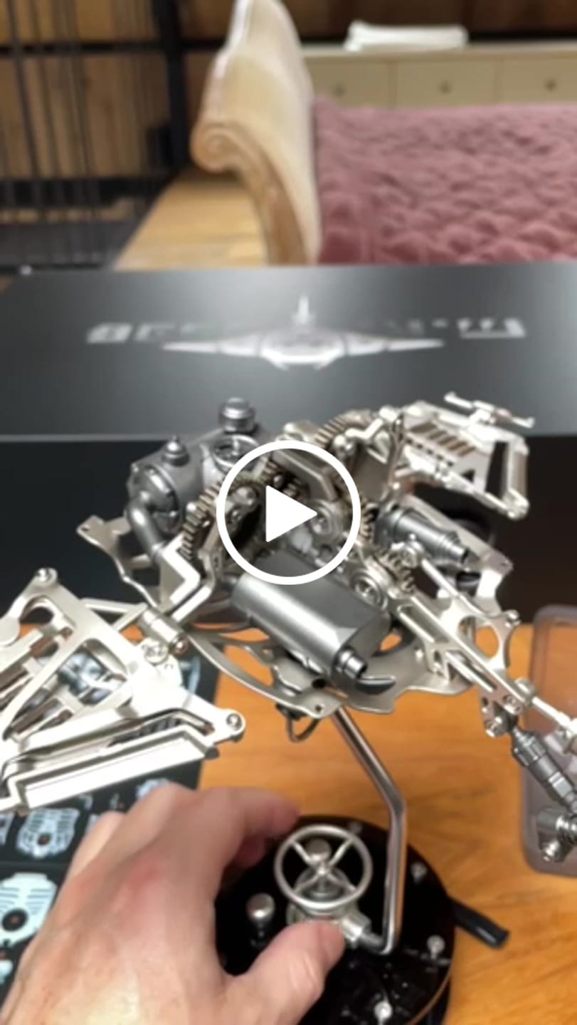 Customer video review of Rokrgeek Innovative Manta Ray Mechanical 3D Metal Model