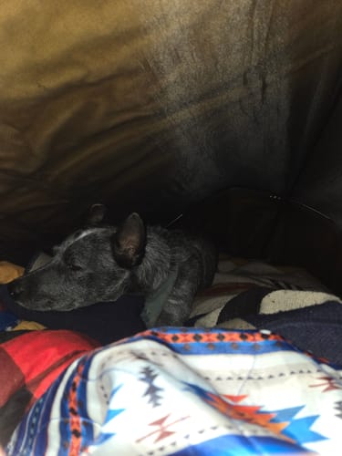 Customer photo review of THE BUNKER BAG