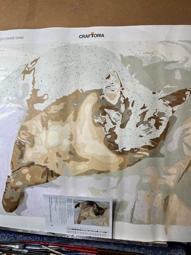 Customer photo review of Custom Paint By Numbers Kit