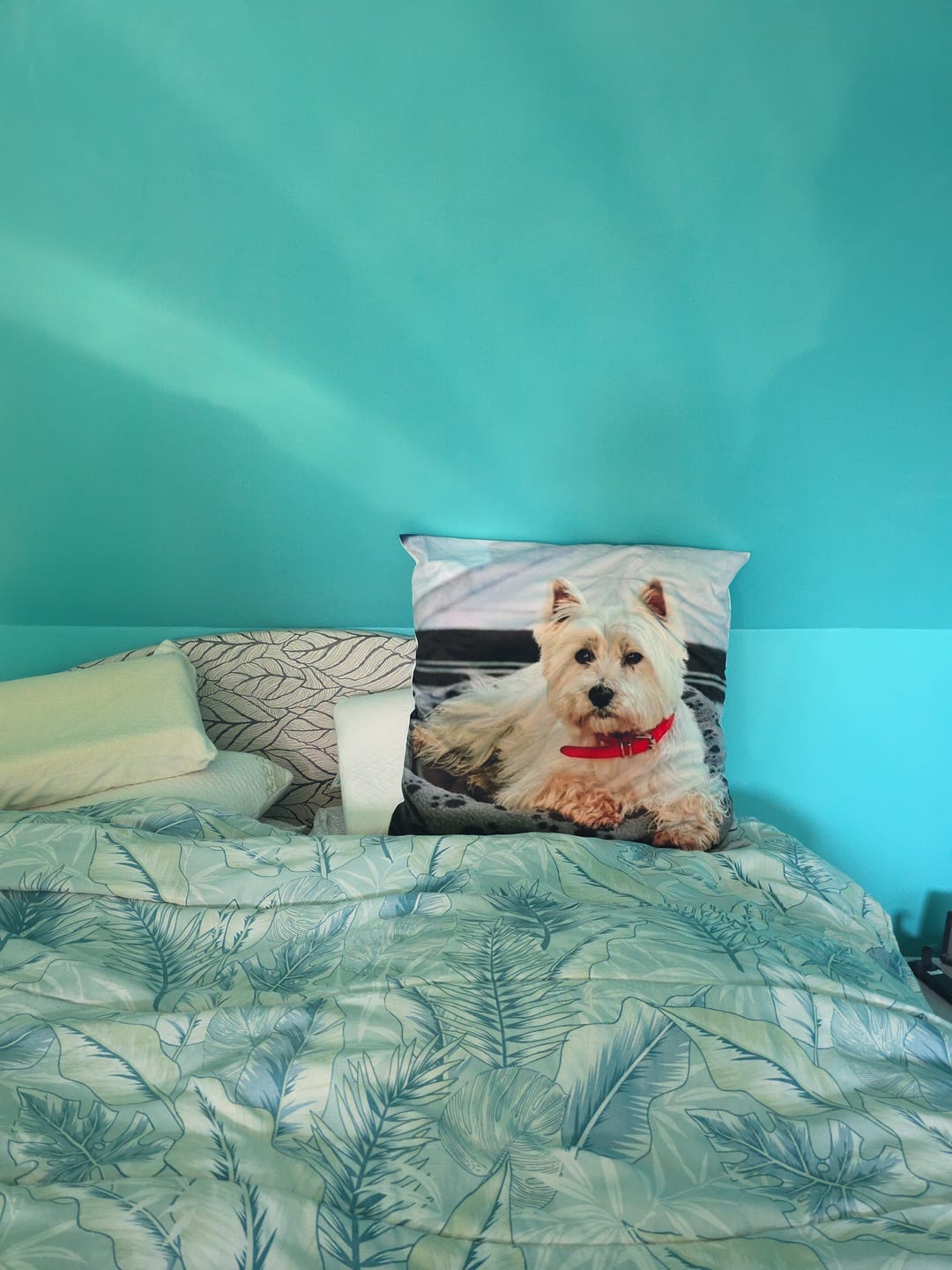 Customer photo review of Avec photo - Coussin personnalisé