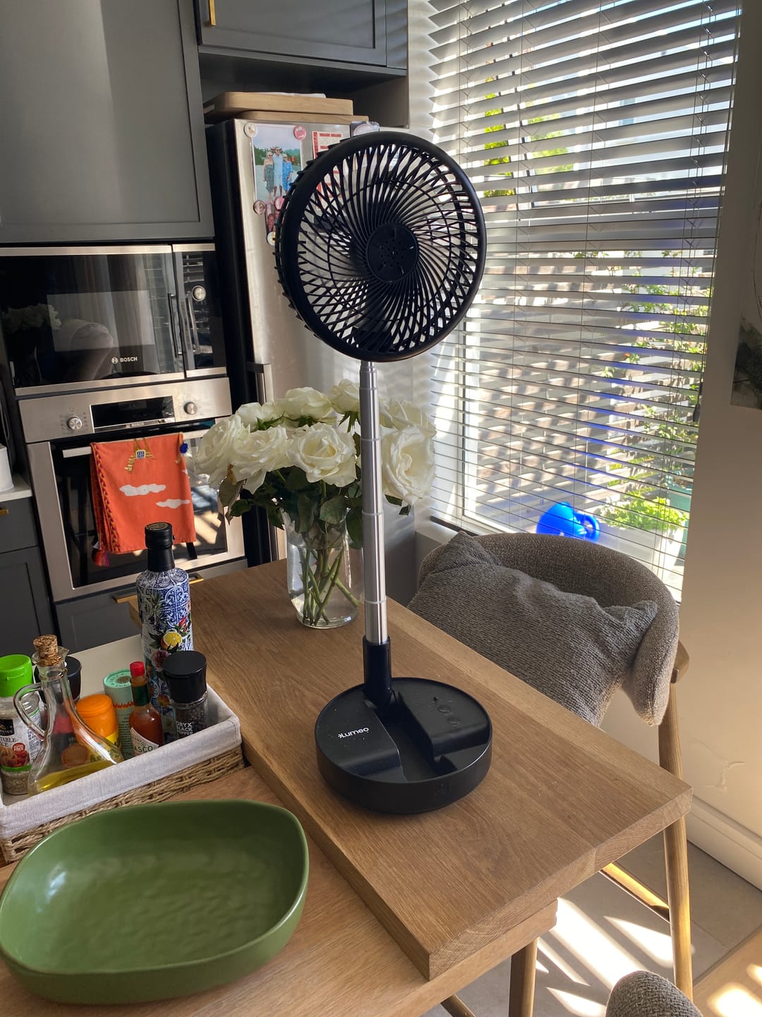 Customer photo review of Lumeo Smart Fan