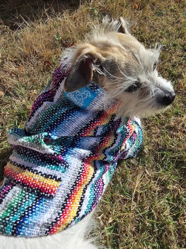 Customer photo review of Playa Poncho – Mystery Color (Bella, Charlie, or Fun Edition)