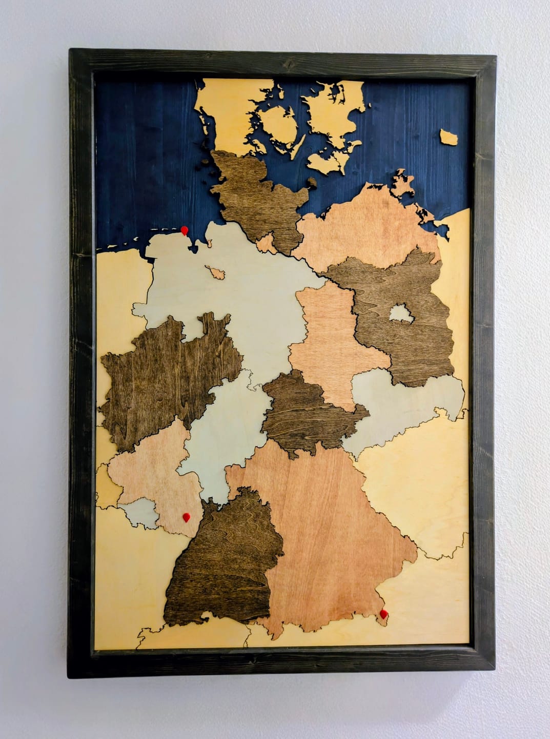 Customer photo review of Smart Pin World Map - Safari