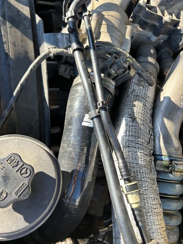 Close-up of the reviewer's black SPE Motorsport Cold Side Replacement Hose installed in a truck's engine bay.
