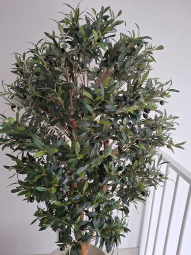 Customer photo review of Kunst Olijfboom 160cm Deluxe