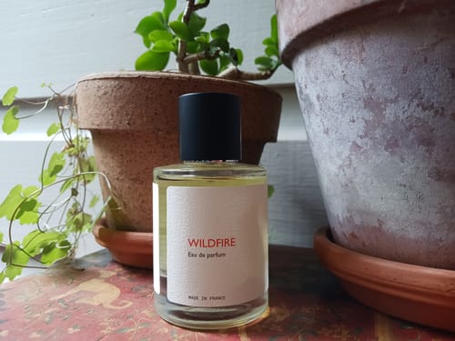 Reviewer's bottle of Wildfire Eau de Parfum placed next to green plants in rustic terracotta pots.