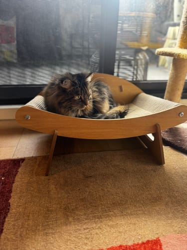 Customer photo review of Multifunctional Crab Shaped Sisal Cat Scratcher Lounge