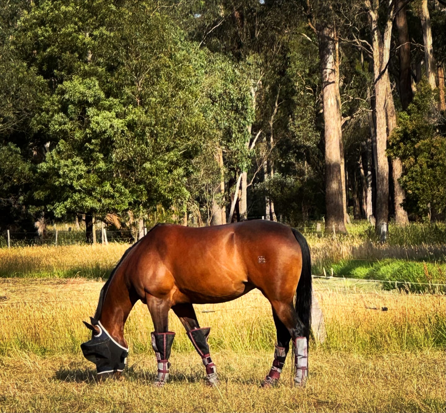 Customer photo review of LE Defender Fly Boots