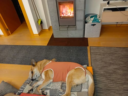 Customer photo review of Body post-operatorio