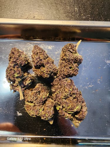 Customer photo review of Granddaddy Purple - 28 Grams - Indica