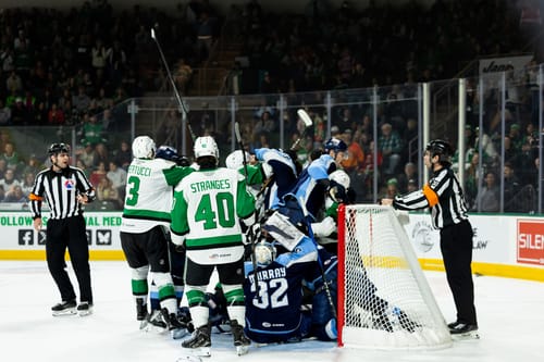 Customer photo review of ZSG-PRO HOCKEY REFEREE SHIN GUARDS