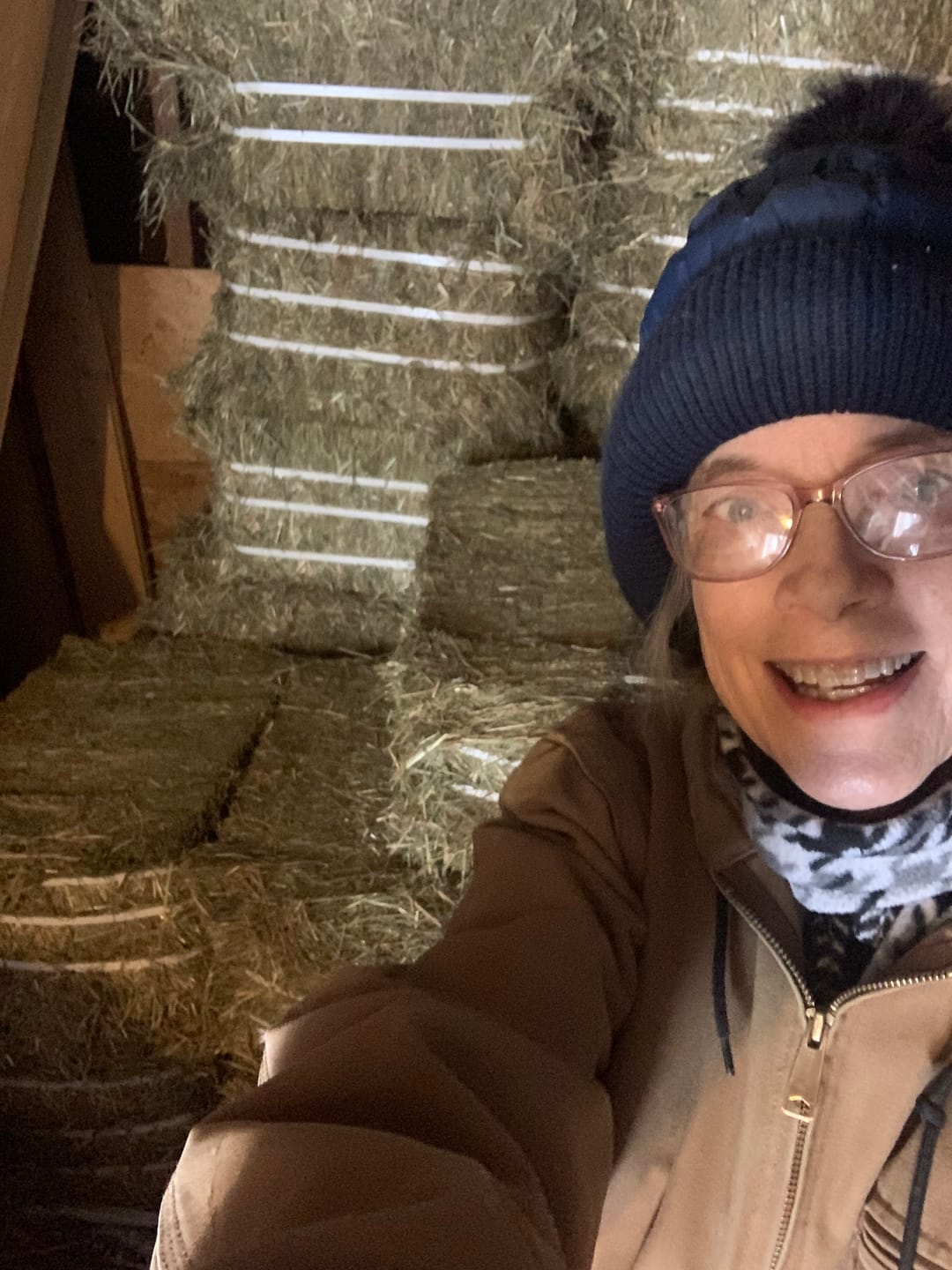 Customer photo review of 1st Cutting Timothy Orchard (Click here for Qty Discount) Grass Hay (Buy More - Save More)(Includes delivery too!)