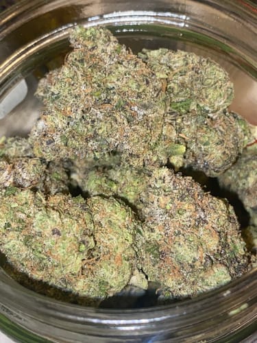 Customer photo review of Dank Dynasty Exotic THCA Flower