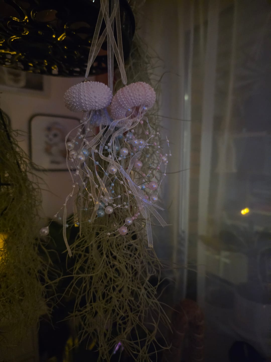 Customer photo review of Tillandsia usneoides - Lousianamoos