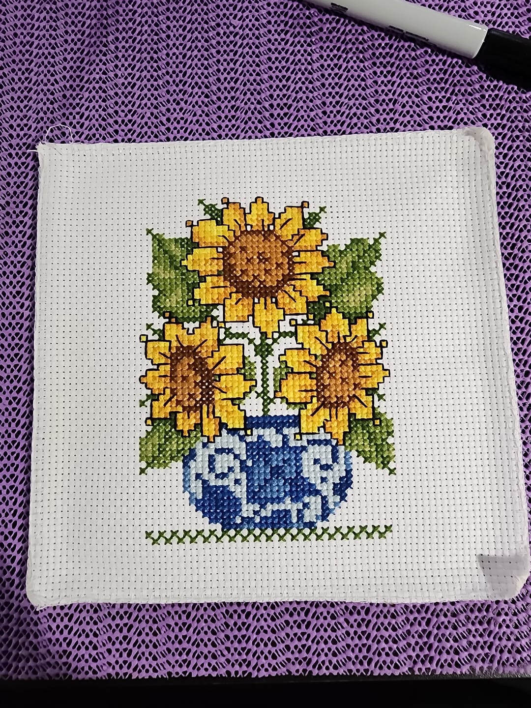 Customer photo review of Sunflower potted