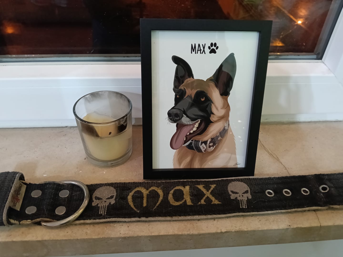 Customer photo review of Quadro Retrato Colorido (1 Animal)