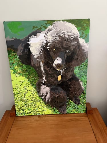 Customer photo review of DIY Frame (Multiple Sizes)