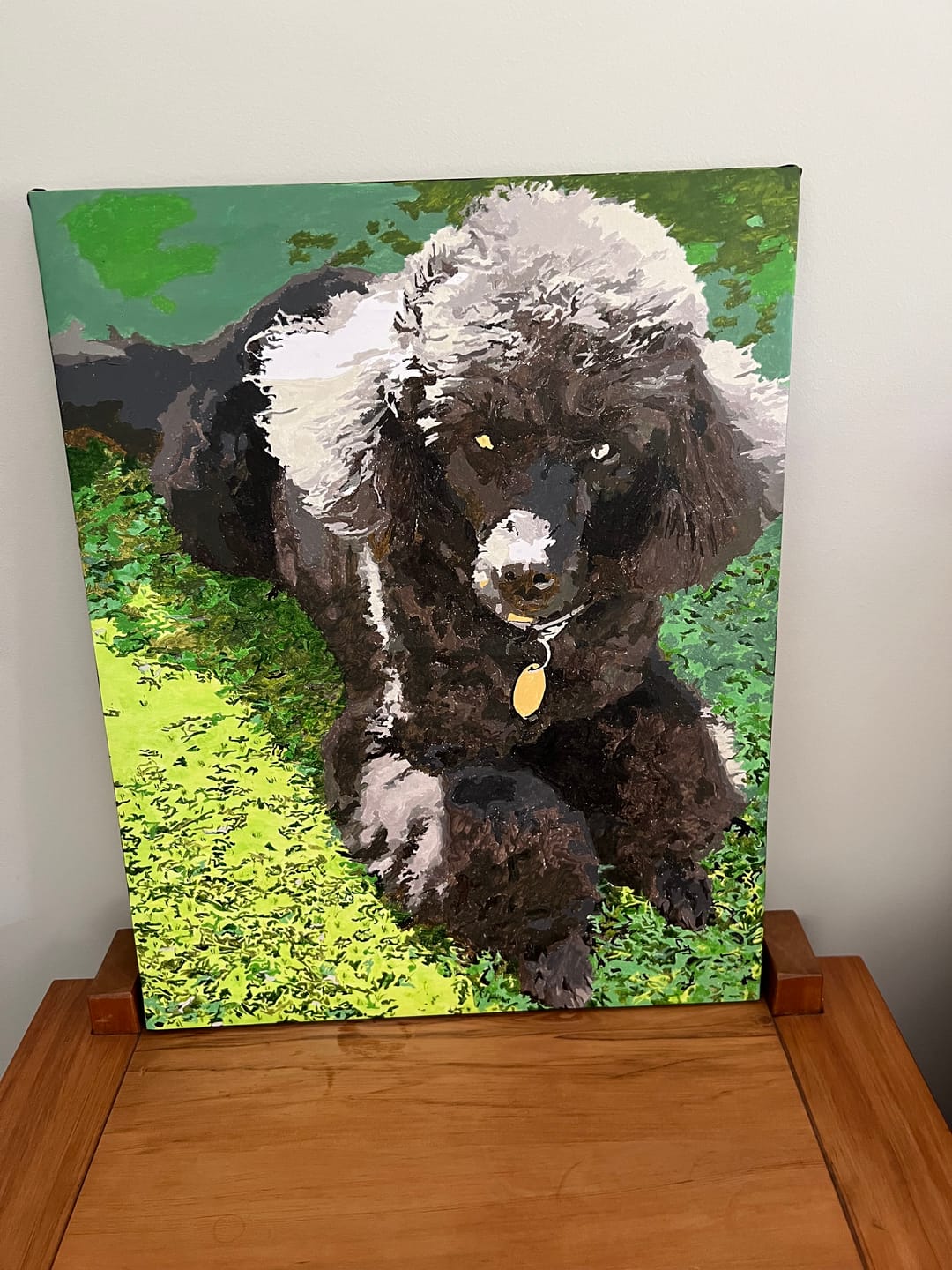 Customer photo review of DIY Frame (Multiple Sizes)