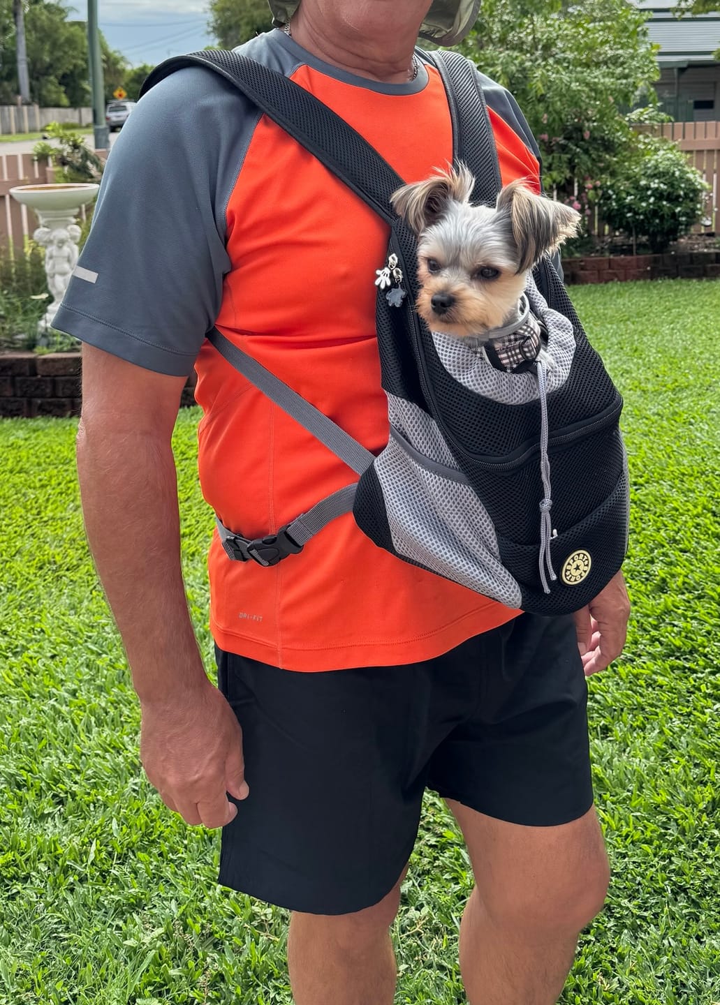 Customer photo review of The Voyager - Dog/Cat Backpack Carrier - For Small/Medium Pets