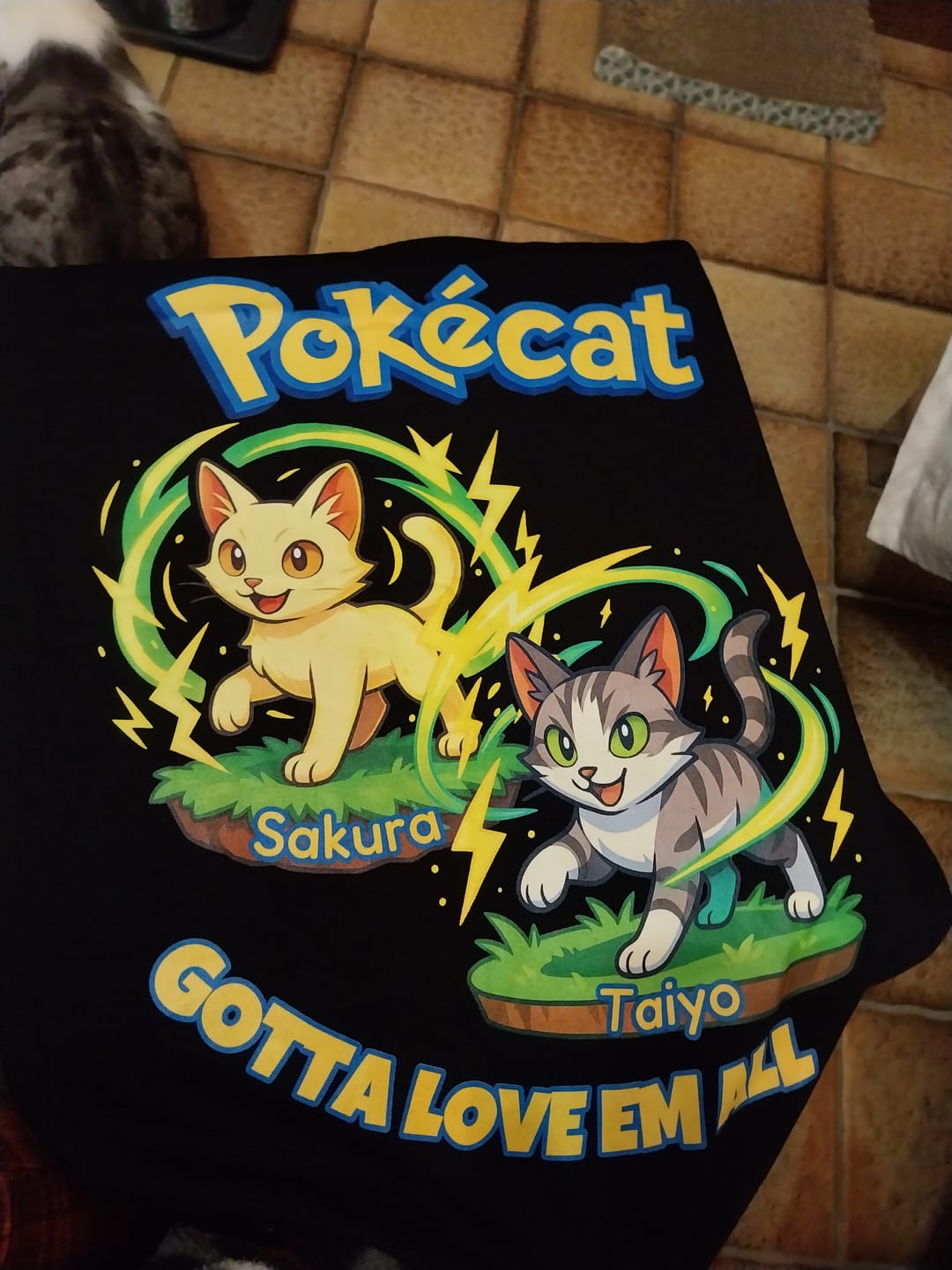 Customer photo review of Pokécat - Energy Aura - Individuelles Premium T-Shirt