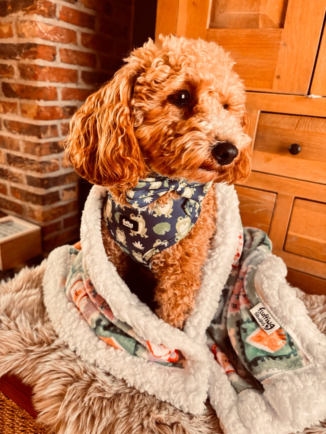 Customer photo review of Adjustable Dog Harness - Frogging Fabulous