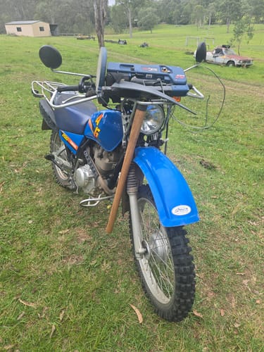 Customer photo review of CC Picks