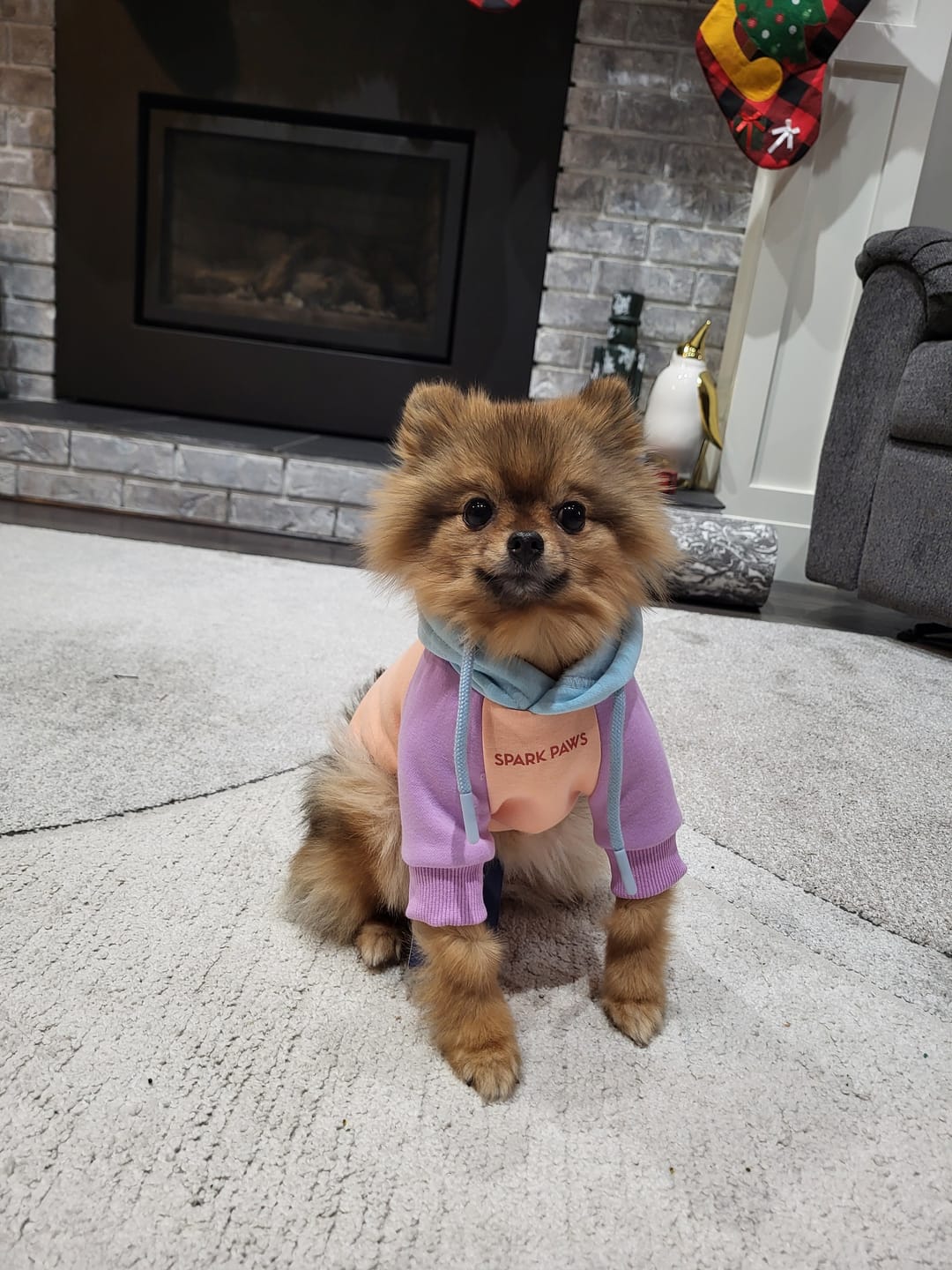 Customer photo review of Cotton Candy Human Hoodie