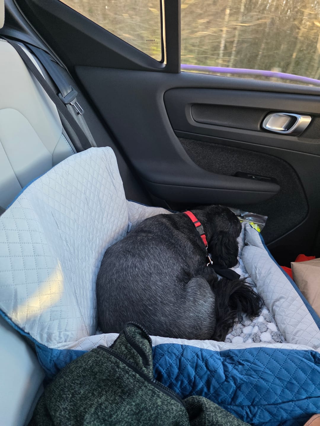 Customer photo review of Pet Perfect Luxe Autostoel Hond - Hondenmand Auto - Wasbaar