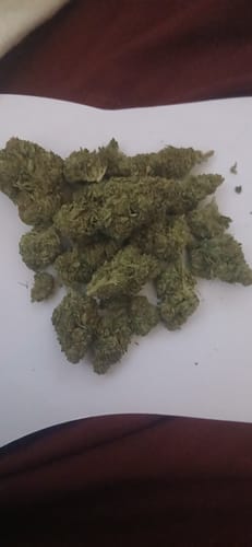 Customer photo review of Cheap THCA Flower Quarter Pound