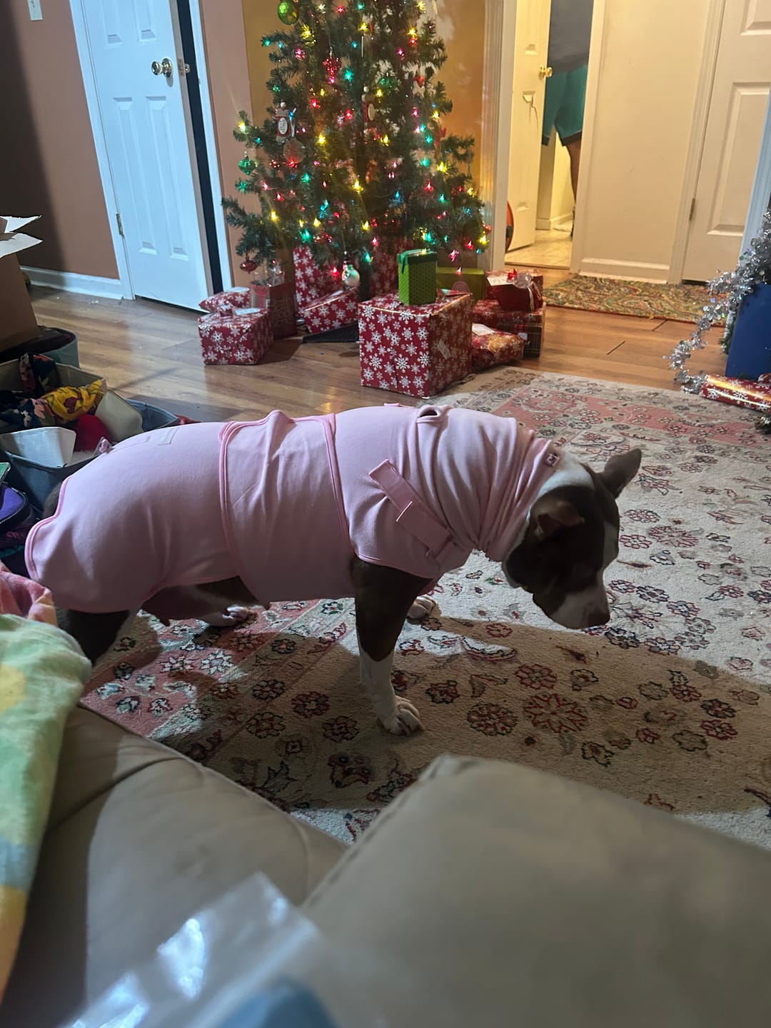 Customer photo review of Anxiety Calming Suit