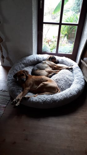 Customer photo review of Belune® Hundebett mit waschbarem Bezug