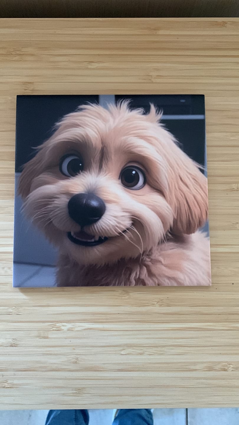Customer photo review of Gepersonaliseerd 3D tekenfilm tegeltje met eigen foto