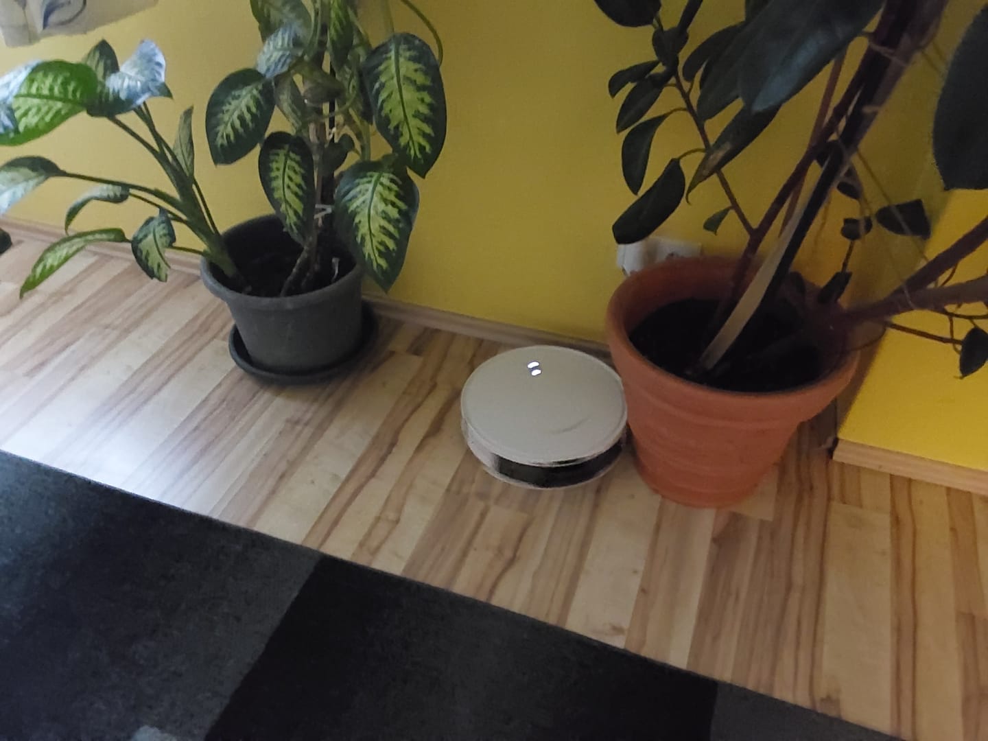 Customer photo review of Saugroboter D10 Pro – Vollautomatische Reinigung mit Wischfunktion, intelligenter Navigation und App-Steuerung für mühelose Sauberkeit