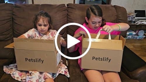 Custom Petslify plush reviewed by Suzanna S., handmade replica of their pet