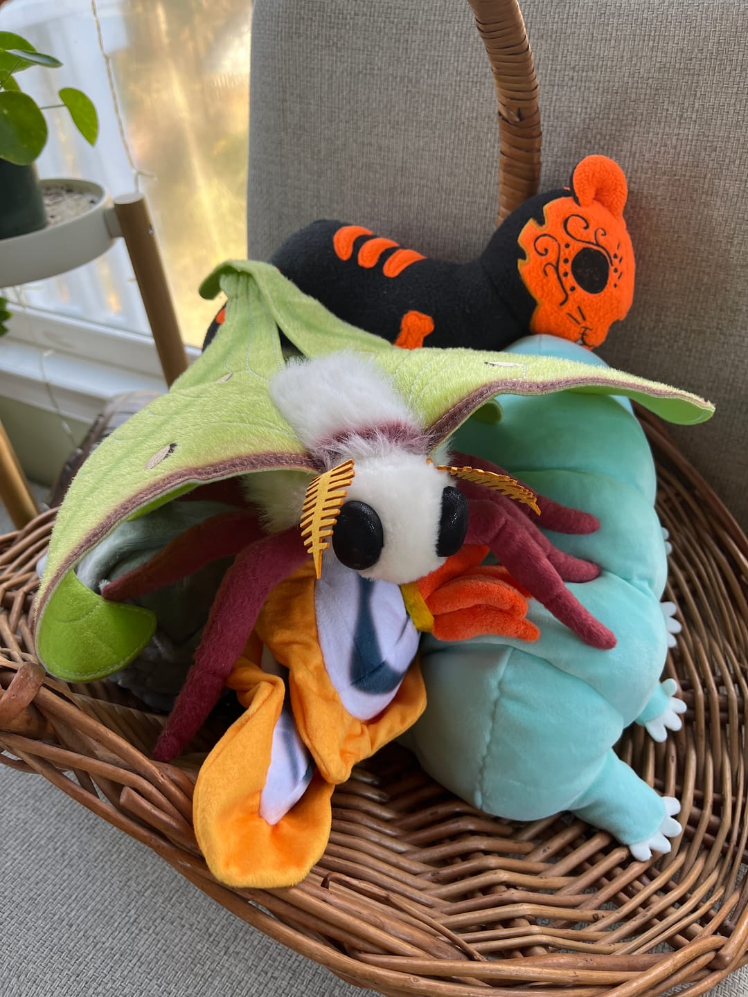 Customer photo review of Indian Moon Moth Soft Stuffed Plush Toy